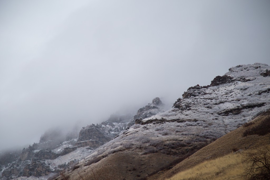 Foggy Mountains